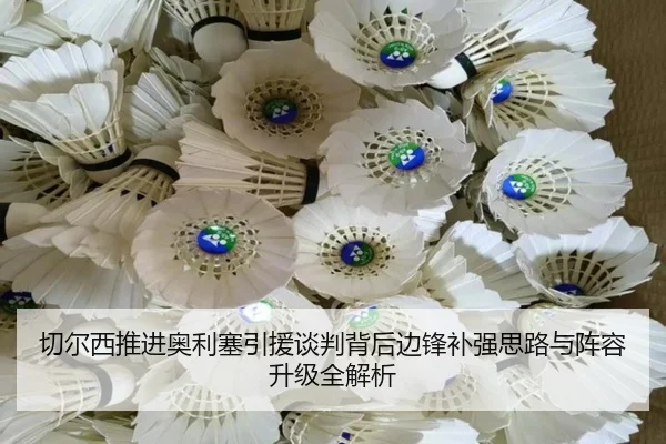 切尔西推进奥利塞引援谈判背后边锋补强思路与阵容升级全解析 - okooo