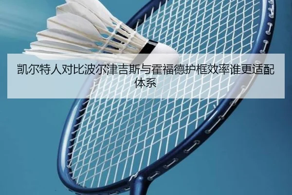 凯尔特人对比波尔津吉斯与霍福德护框效率谁更适配体系 - okooo