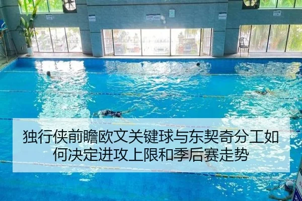 独行侠前瞻欧文关键球与东契奇分工如何决定进攻上限和季后赛走势 - okooo